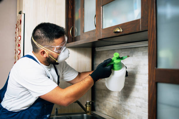 Best Rat Extermination Near Me  in Lansford, PA