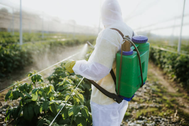 Best Local Pest Control Services  in Lansford, PA